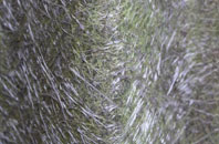 Leeans fibreglass roof work